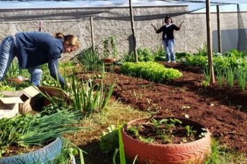 Primeira colheita na Horta Comunitária da ESF Jd dos Ipês