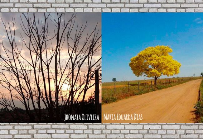 CRAS DE TAGUAÍ PROMOVE CONCURSO FOTOGRÁFICO ENTRE OS ADOLESCENTES PARA CONSCIENTIZAÇÃO AMBIENTAL